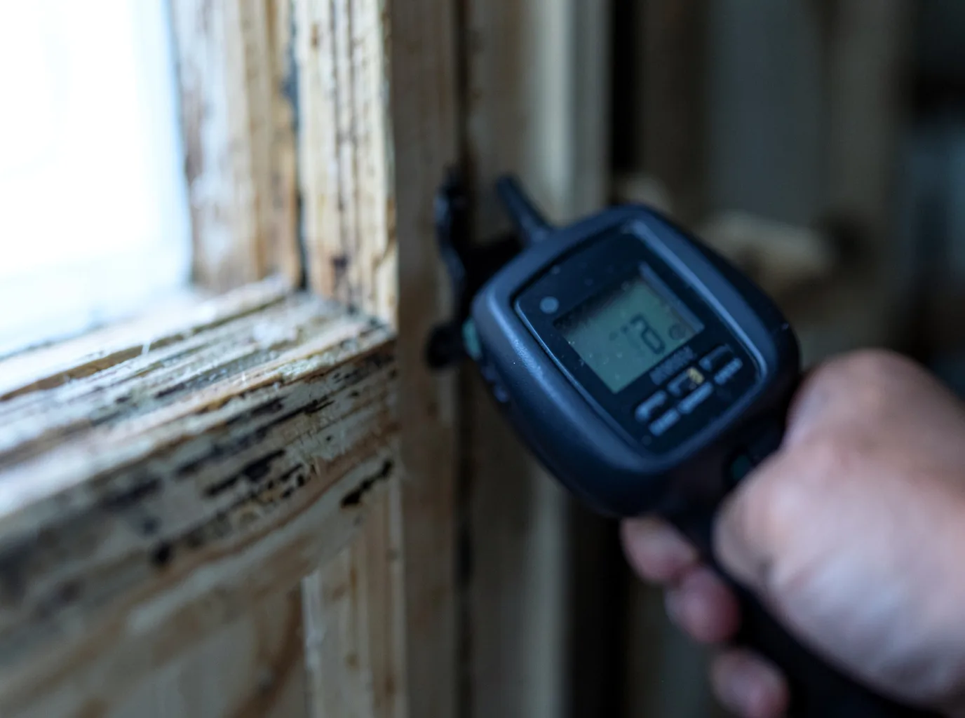 Water Damage Restoration Branch, MI FAQs